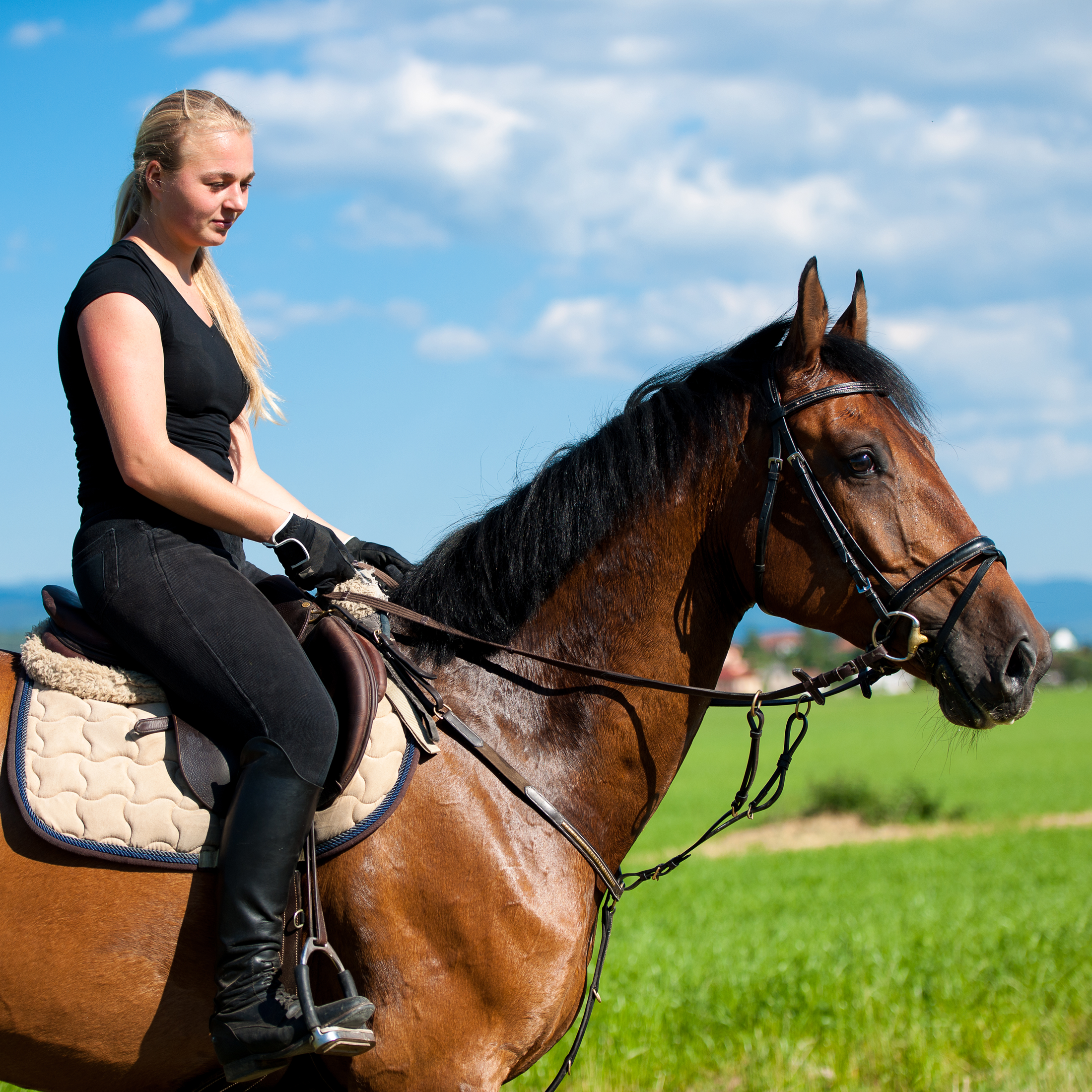 Girl riding Horse